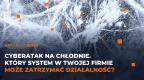 Cyberatak na chłodnie. Który system w Twojej firmie może zatrzymać działalność? Napis na tle kryształków lodu.